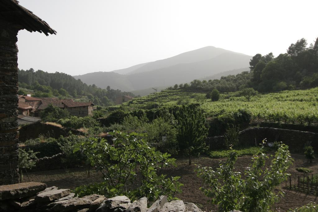 דירות רובלדיו דה גאטה Casa Manadero מראה חיצוני תמונה
